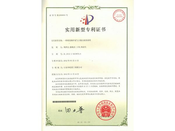 Boiler tail gas sludge drying